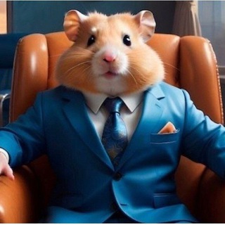 Hamster Kombat Community