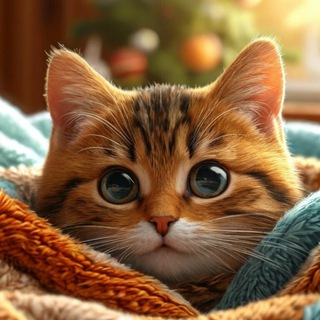 КУSЬМОPOLITAN | Всё о котиках🐾