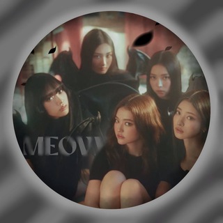 MÉOVV | THEBLACKLABEL🐈‍⬛
