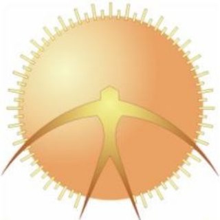 ОФ СЛА России (сверхлегкая авиация)