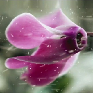 огонёк в ночи 🔥 о кино