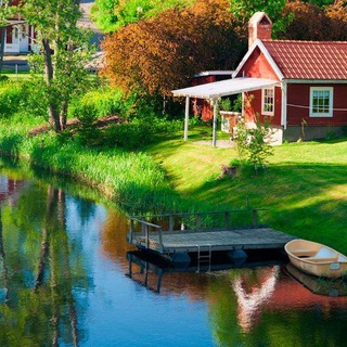 Дачники...🏡