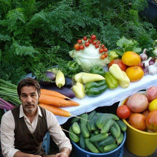 Огород Зеленогорова