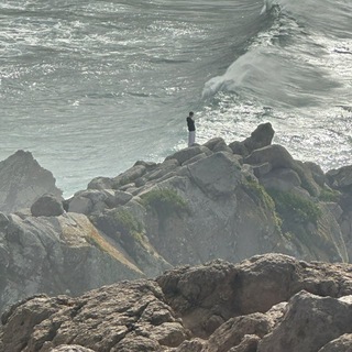 Огород Помидора🍅