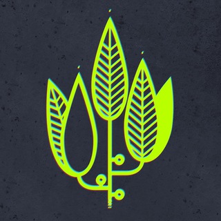 О, Мой Борщ!