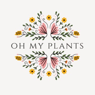 Oh My Plants 🌿