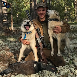 Охота с лайками