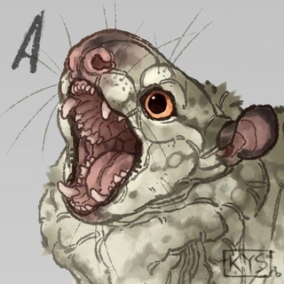 кусиска kusiska