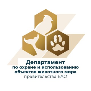 Департамент по охране и использованию объектов животного мира