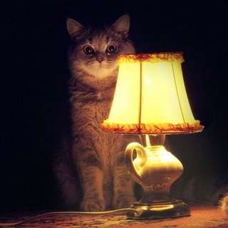 Настало время