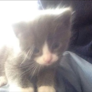 запах одиночества