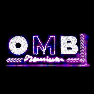 BLINDAGE OF O.M.B.