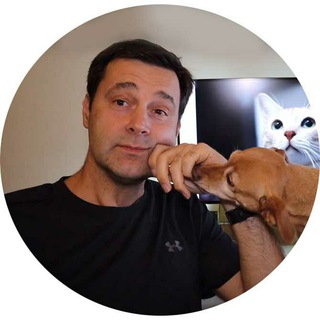 Олег Новиков Истории