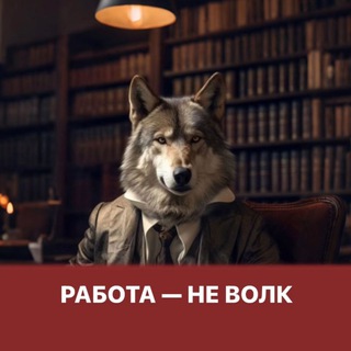 Работа - не волк▫️Карьера и перезагрузка
