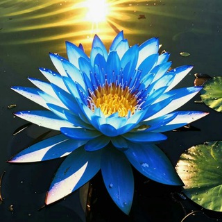 Эзотерические, но проверенные на опыте секреты здоровья и психологии