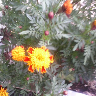 Здоровье, омоложение, долголетие и немного эзотерики