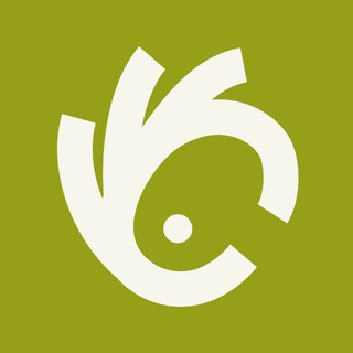 Олимпикс Путешествия