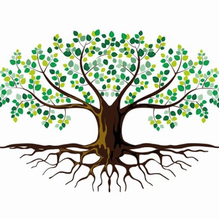 Садовый центр ОЛИВА