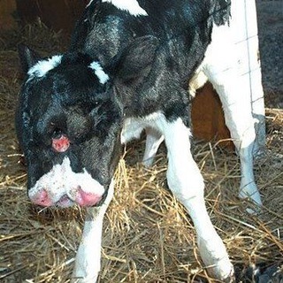 Оливьекинс☀️