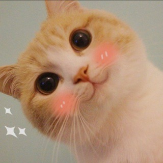 Мысли Оливии