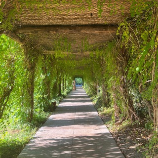 ОлвинТур | Olvin Travels & Tours