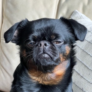 Омский гедонист