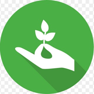 О май бад! С Еленой Корнауховой