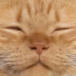 Мемолуние🌖