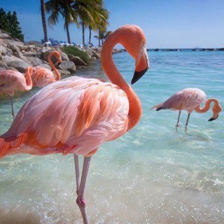 Расскажи что-нибудь хорошее