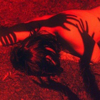 парадигма моих чувств