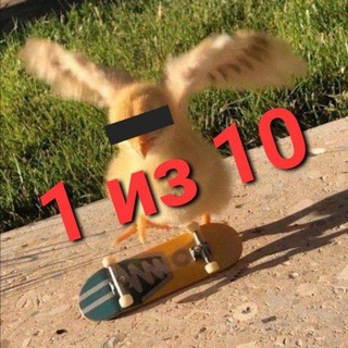 1 из 10 мемов я сделал сам