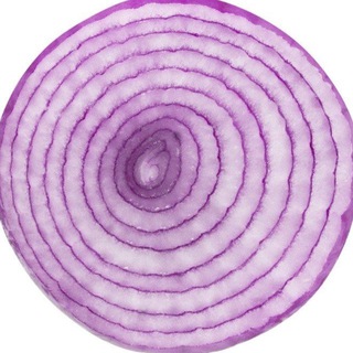 луковые новости 🧅 |рецепты, лайфхаки, вдохновение|