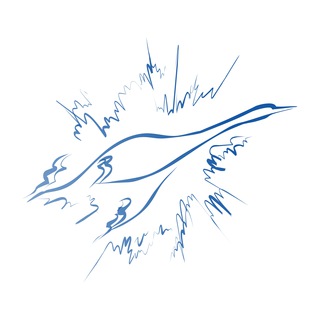 Бесплатные онлайн-практикумы