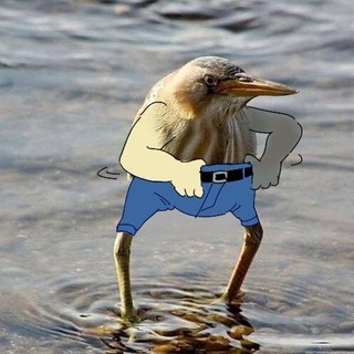 Онлайн Фильмы🎞