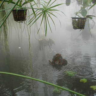 yuma (only1clamee) beats store