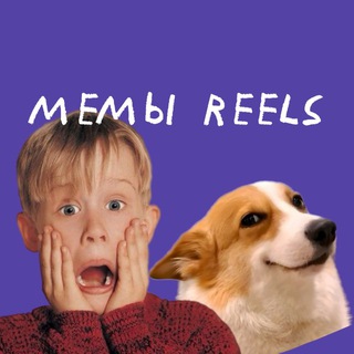 только МЕМЫ / смешные видео / футажи