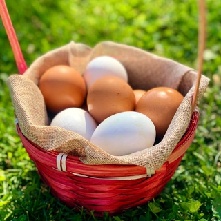 Чистые продукты