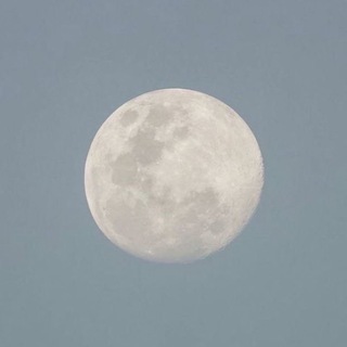 onyx tarot | astrology