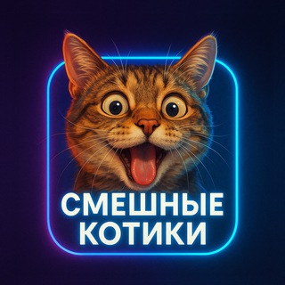 Смешные котики