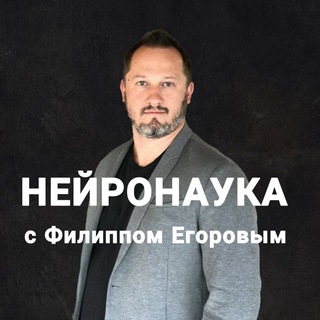 Нейронаука для жизни с Филиппом Егоровым
