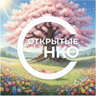 Открытые НКО
