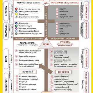 Основы православия с о. Никодимом (Шматько)