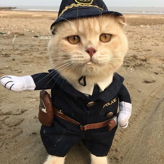 Опросничек Ru