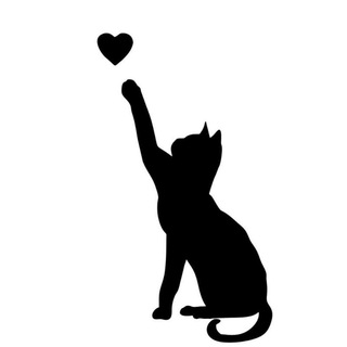 Бар-ресторан "Черная кошка"