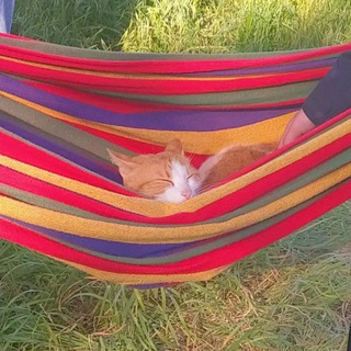 Меняльник "РЫЖИЙ КОТ" | Симферополь