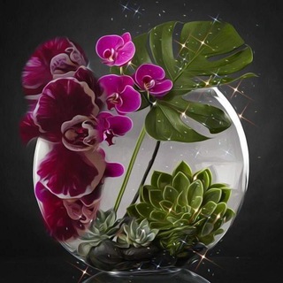 orchidei_ekb /Орхидеи_ЕКБ