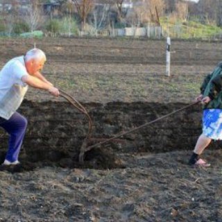 Неожиданно проросло