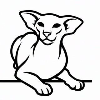 Купить ориентального котенка