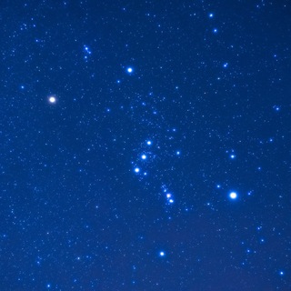 Orion (Скидки, купоны, промокоды)