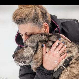 Спасение животных Якутск сейчас